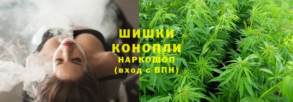 винт Балахна