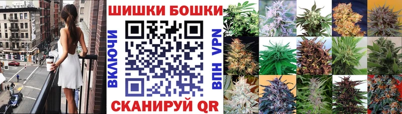 Бошки марихуана сатива  где купить наркотик  Саянск 